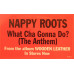 Nappy Roots – What Cha Gonna Do? (The Anthem) Nappy Roots – What Cha Gonna Do? (The Anthem)
